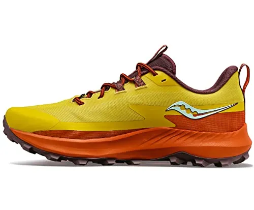 Peregrine 13 Running Shoe - Women's