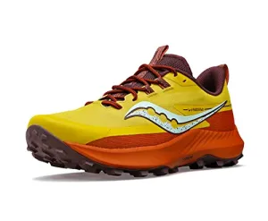 Peregrine 13 Running Shoe - Women's